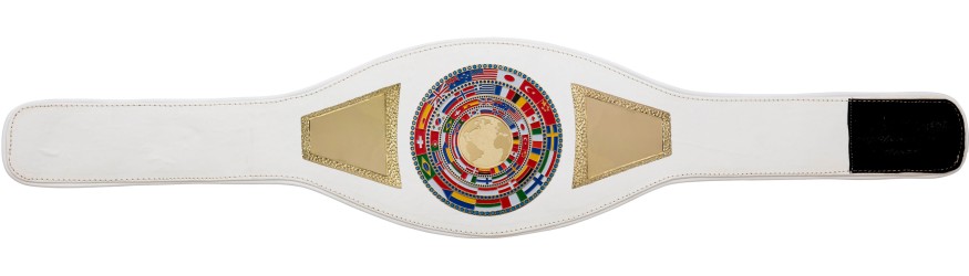 WORLD CHAMPION PROFLAG2/FLAG/G/BIGWG - VARIETY OF LEATHER COLOURS AVAILABLE WORLD CHAMPION PROFLAG2/FLAG/G/BIGWG - VARIETY OF LEATHER COLOURS AVAILABLE